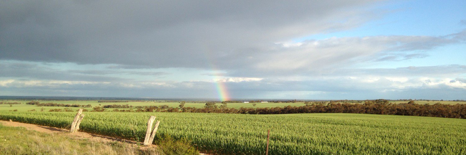 Rodney Pohlner banner
