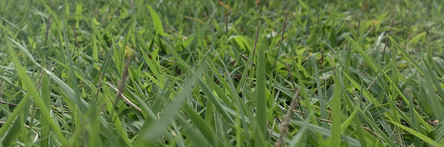 𝒃𝒂𝒃𝒊𝒃𝒐𝒊𝒃𝒍𝒖𝒆 banner