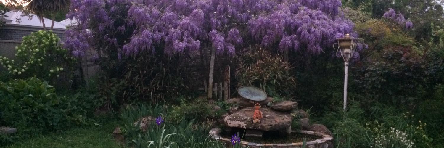 wisteria_bloom banner