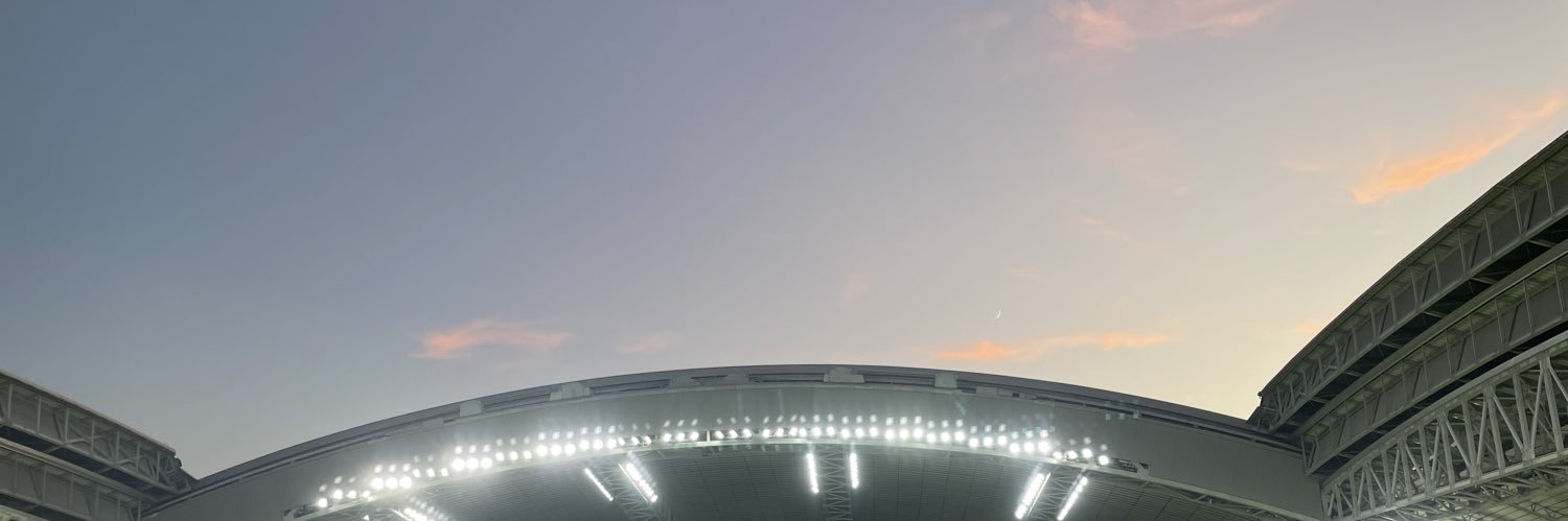 raotoki's profile banner image