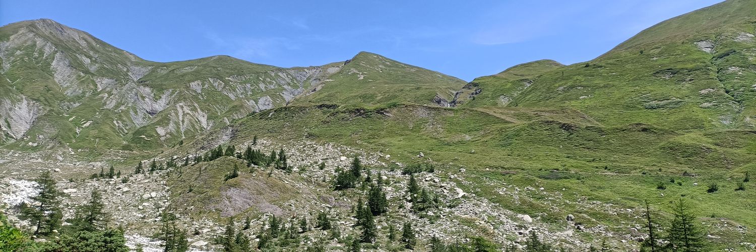 Federico Pasqua banner