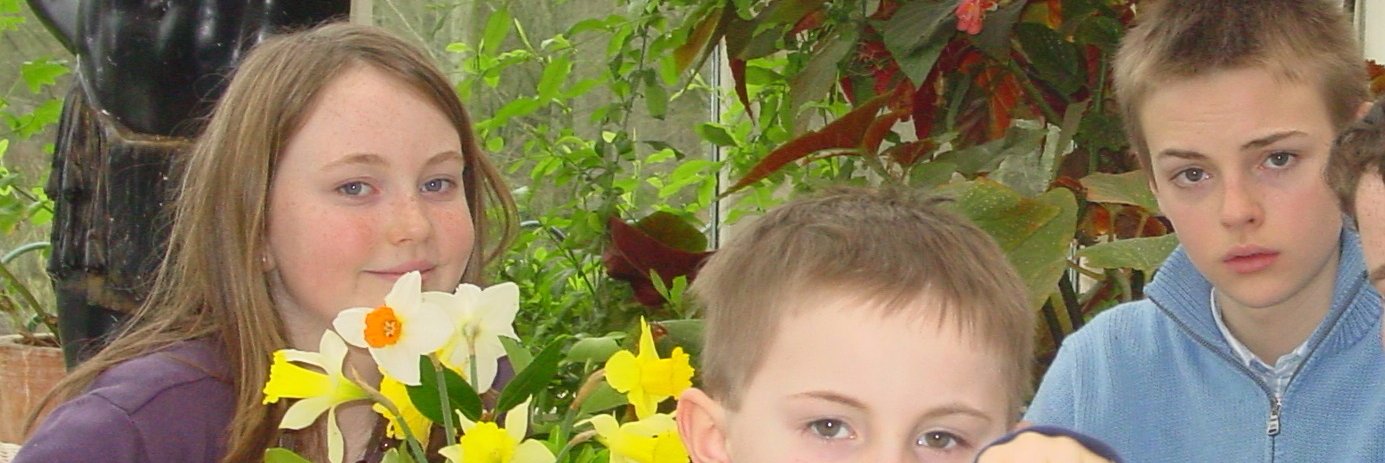 DaithiFallon's profile banner image