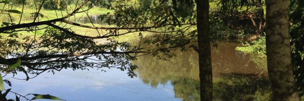 ShafeeaRiza Profile Banner