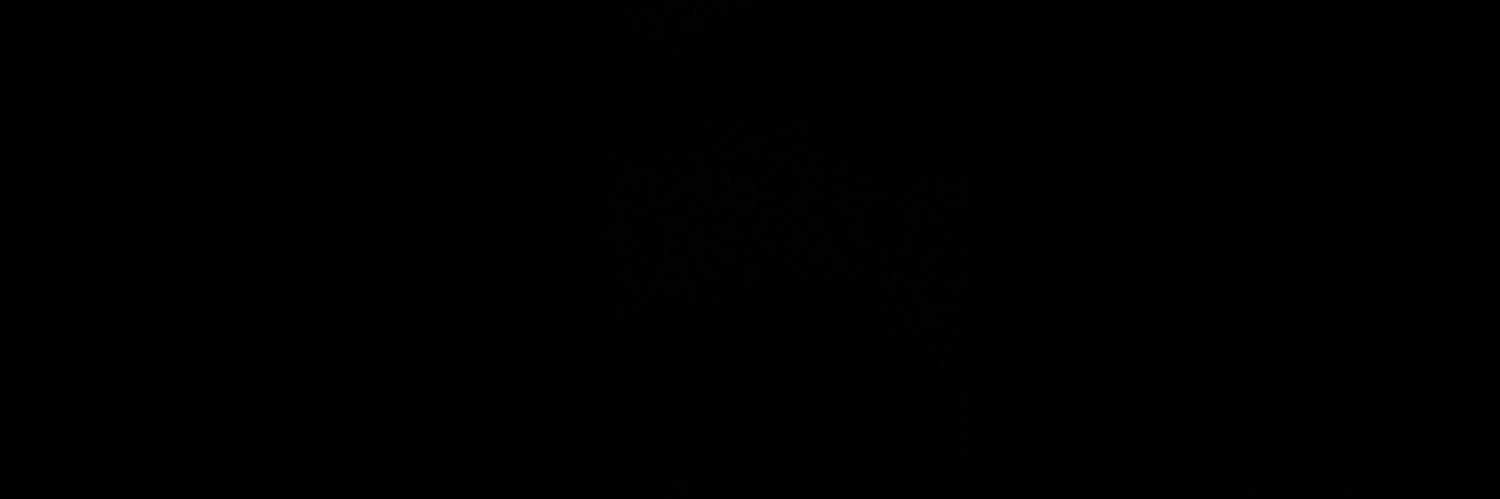 r banner