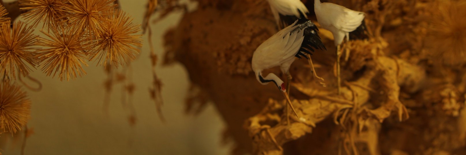ruudodk's profile banner image