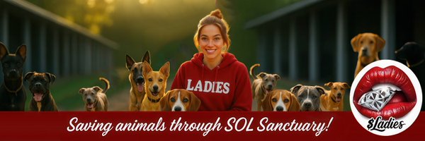 Ladies_On_Sol Profile Banner