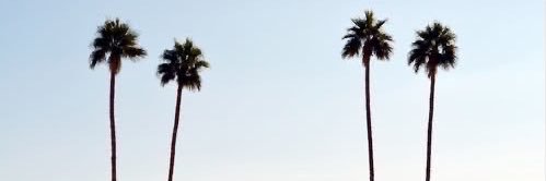 ittsba's profile banner image
