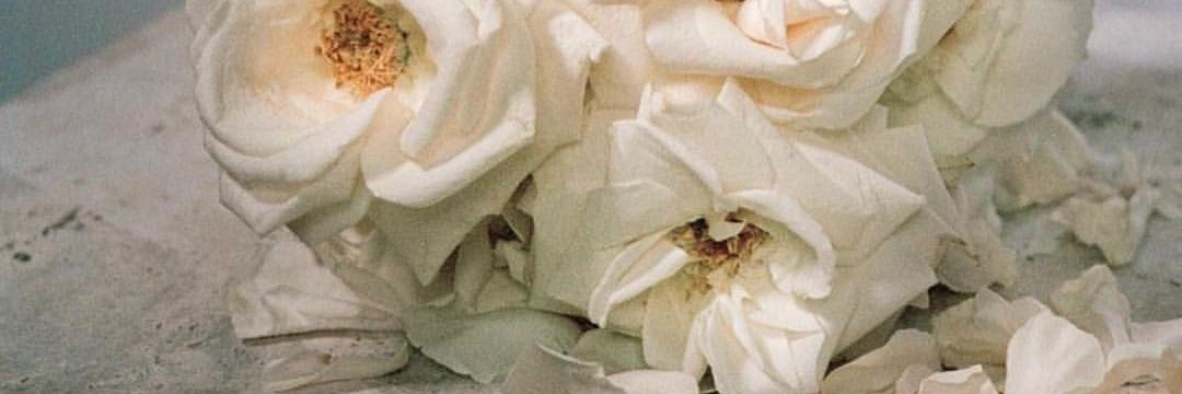 csoruk's profile banner image