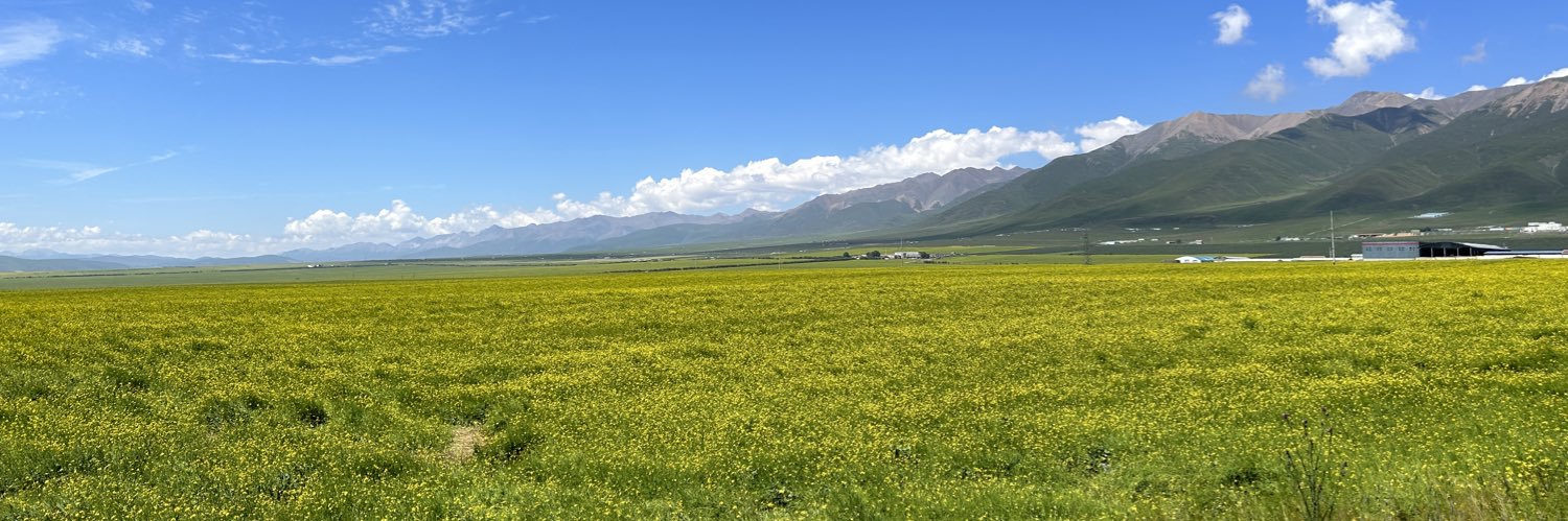 luoluodesu's profile banner image