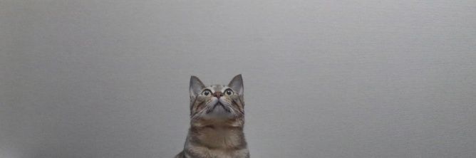 0in3's profile banner image