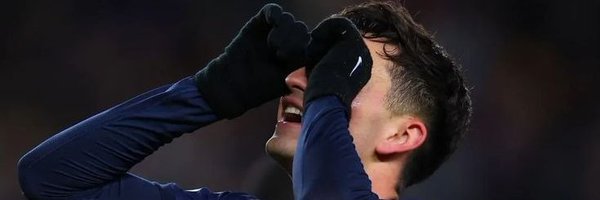 piastribf Profile Banner