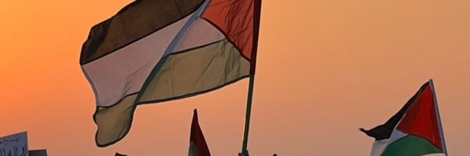 n4llma_8's profile banner image