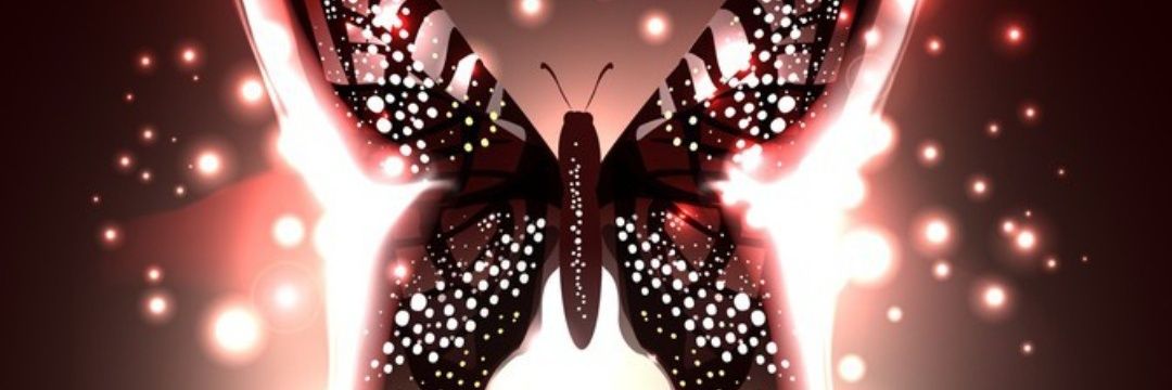 Zeynep 36🌺's banner