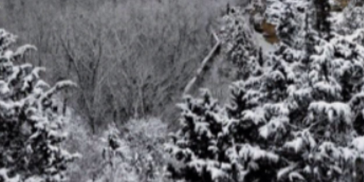 PacoDelg's profile banner image