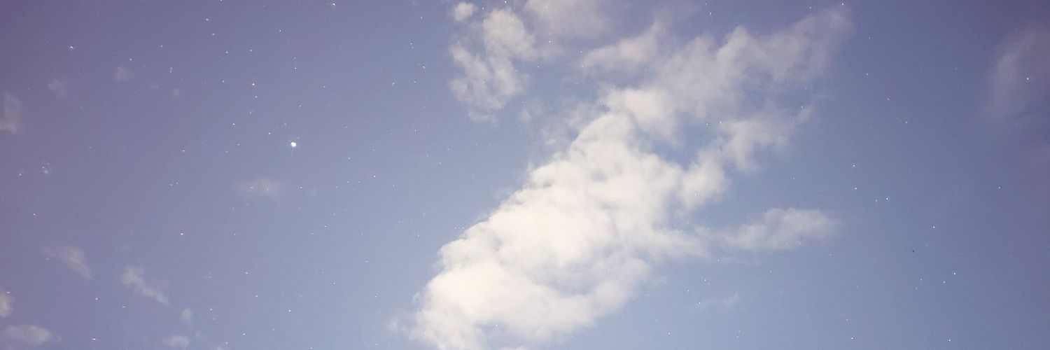 CardiganJu's profile banner image