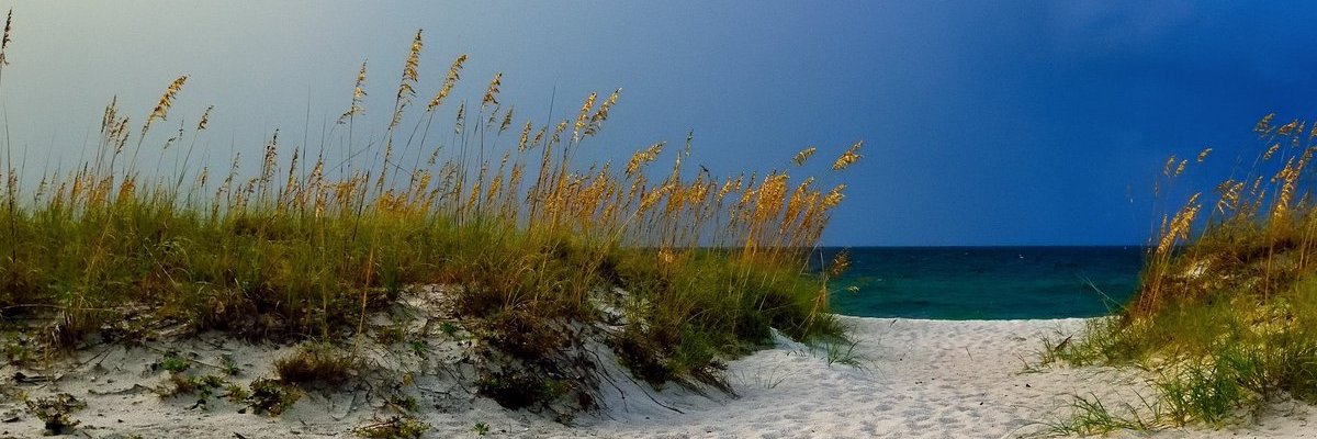 hizaw's profile banner image