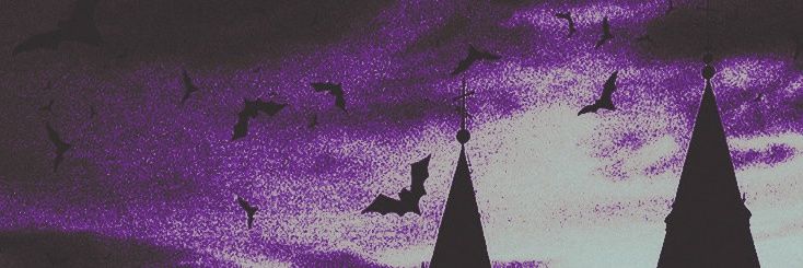 𝐒𝐚𝐛𝐥𝐞 ⛧'s banner