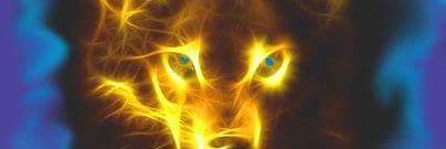 wolfette24's profile banner image