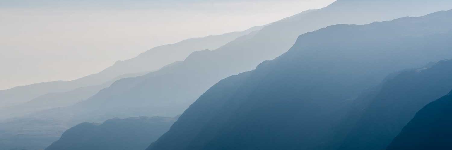 dianoose's profile banner image