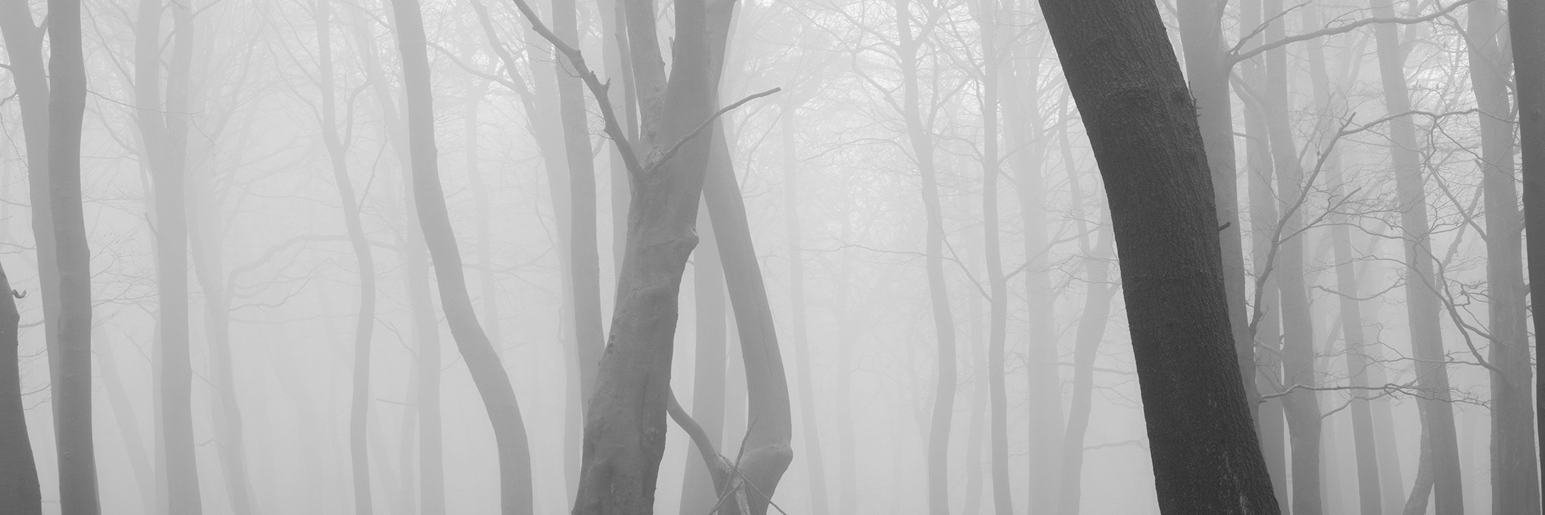 ArtistRob's profile banner image