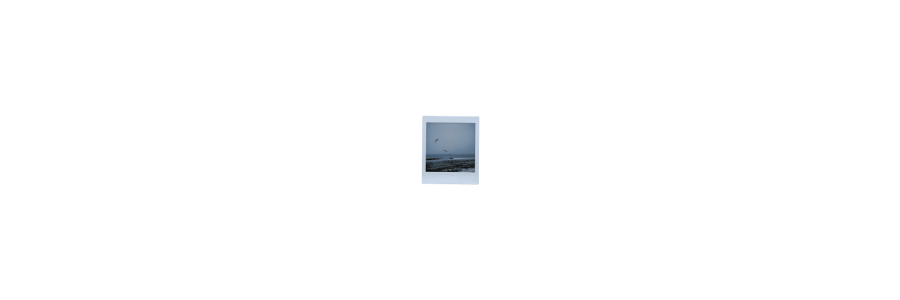 ‍ ‍ ‍ ‍‍ ‍ ‍ ‍،، ‍ human!AMÉL͟I͟E͟. banner