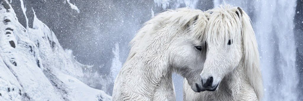 ChaiCrimes 🕊 banner