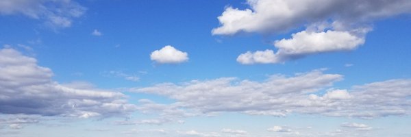 realestate Profile Banner