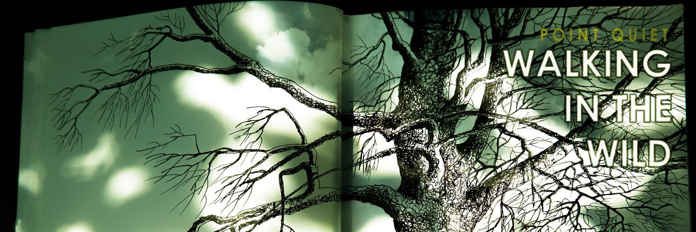 pointquiet's profile banner image