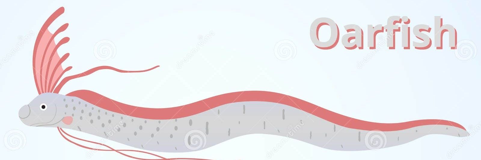 ElectricOarfish's profile banner image