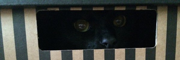 brownandre Profile Banner