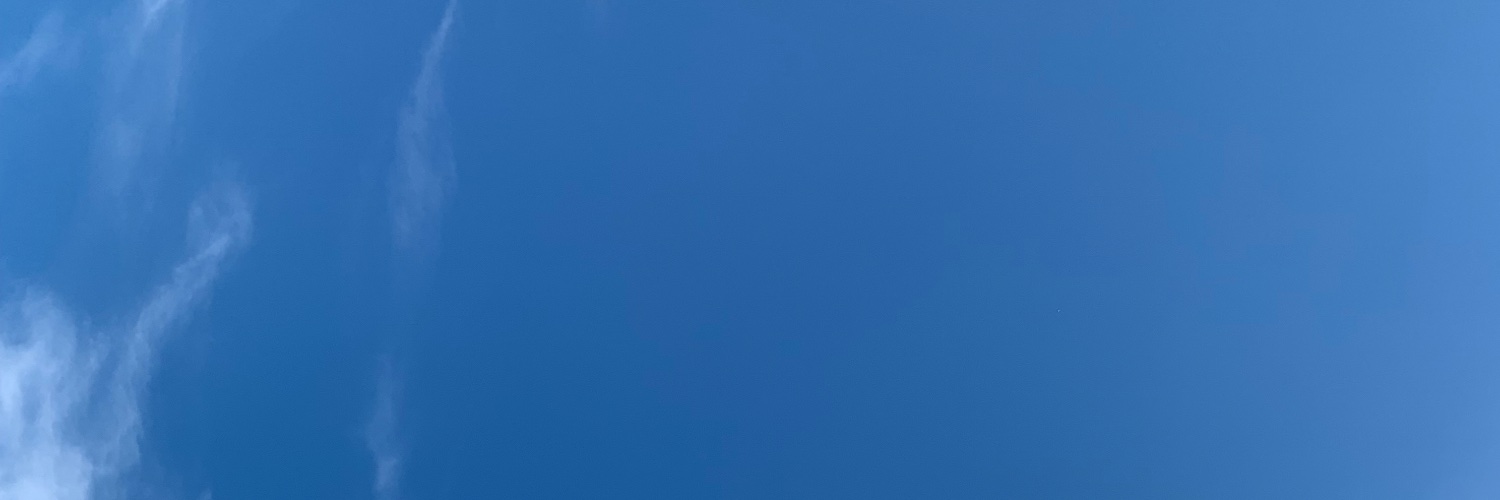SuiseiRunne's profile banner image