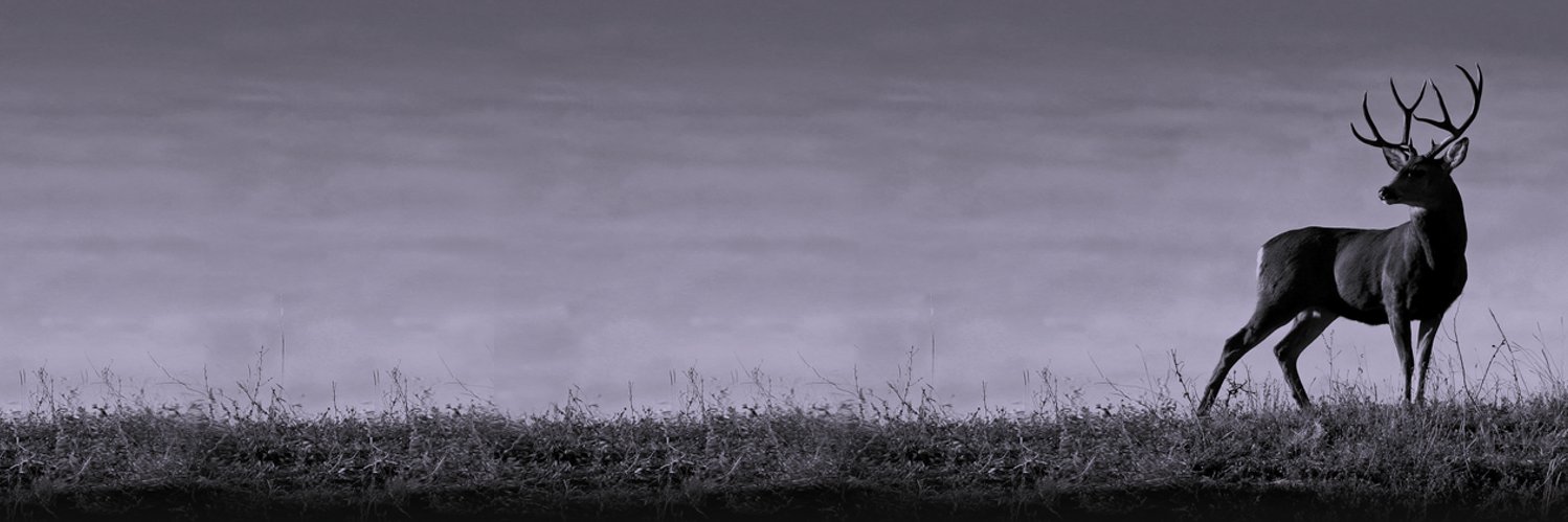 RegisGroup's profile banner image