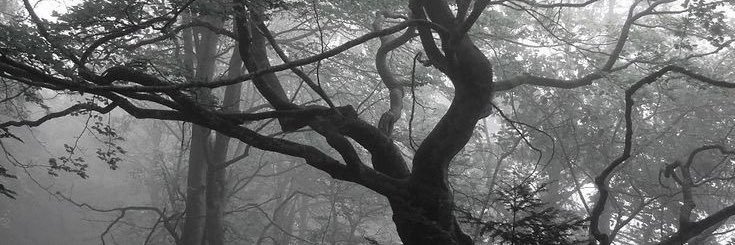 َ banner