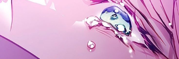 seobs 🫧 banner