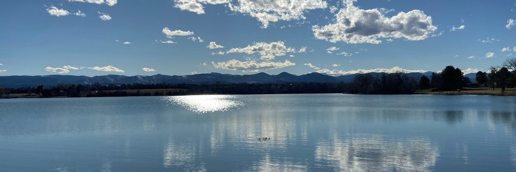 Angela Vincent banner