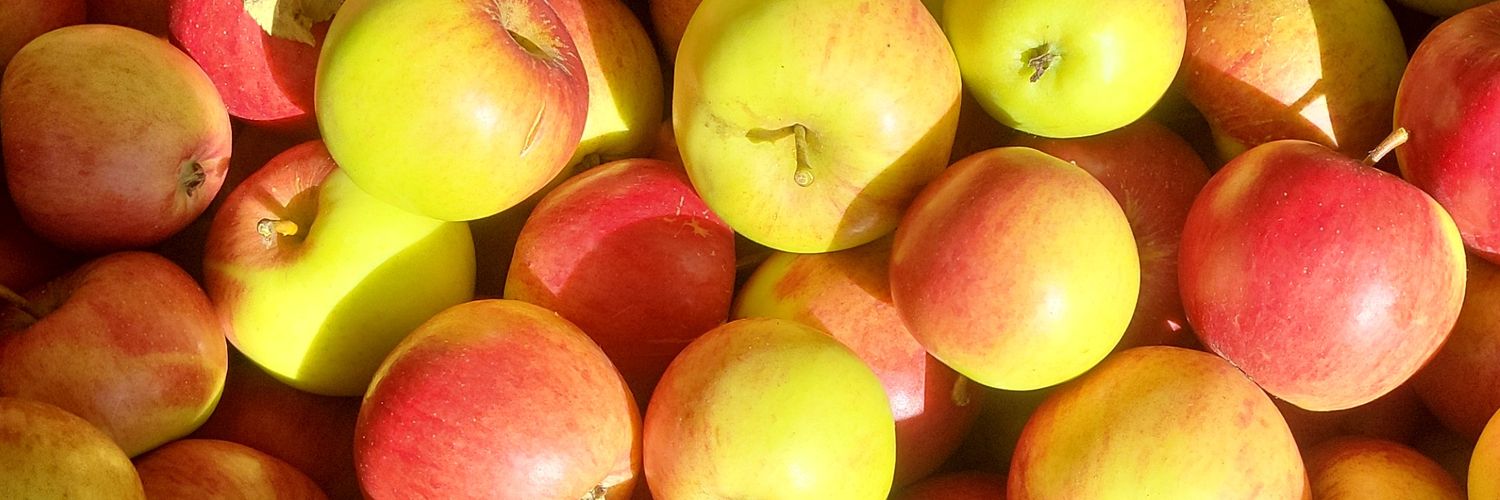 Retschebue's profile banner image