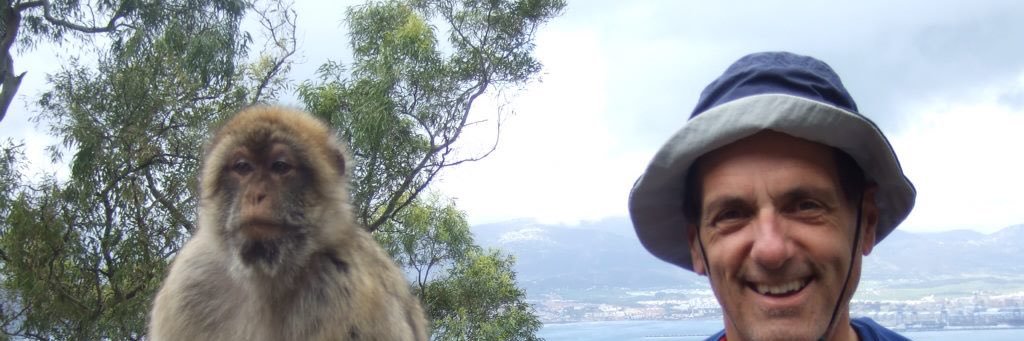 Steve banner