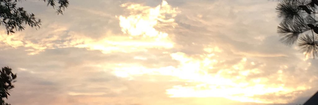 lorenavelarde's profile banner image