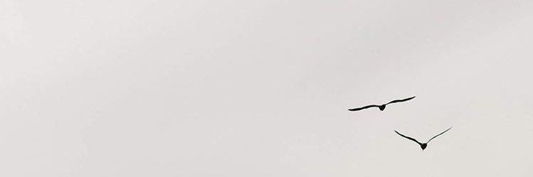 iiabdulellah's profile banner image