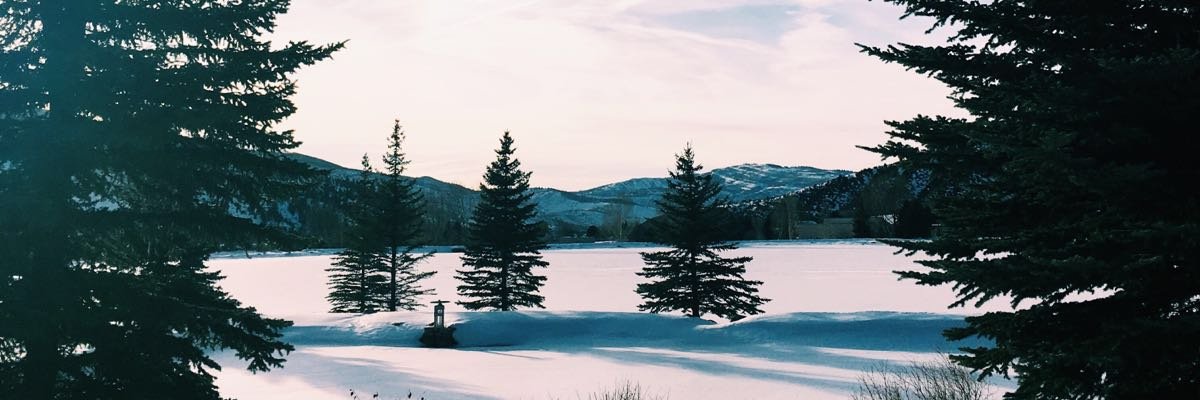florpellandini's profile banner image