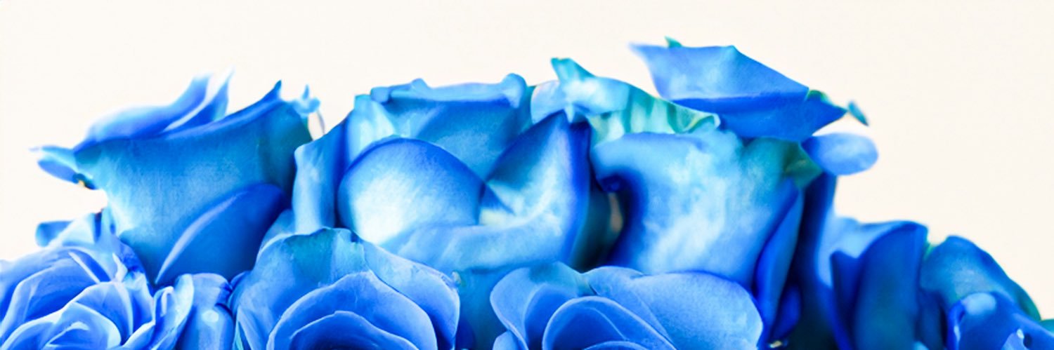 gunbbang710's profile banner image