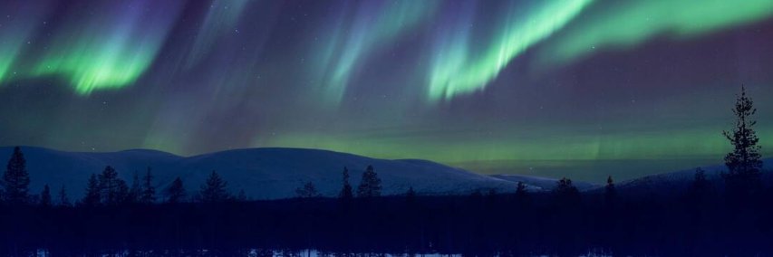 notEricaZelic's banner