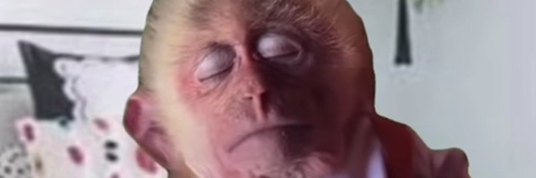 fafisms's profile banner image