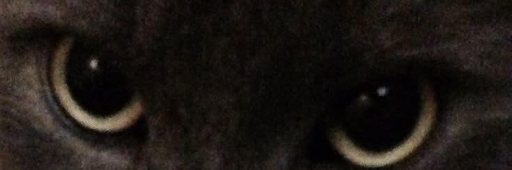 chrisabew's profile banner image