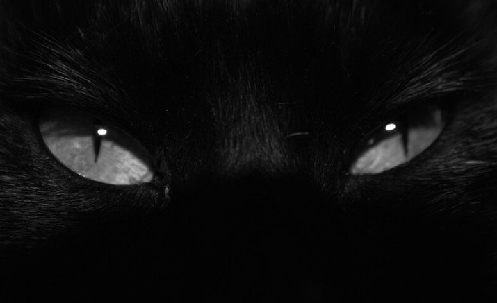 tthayanestylle's profile banner image