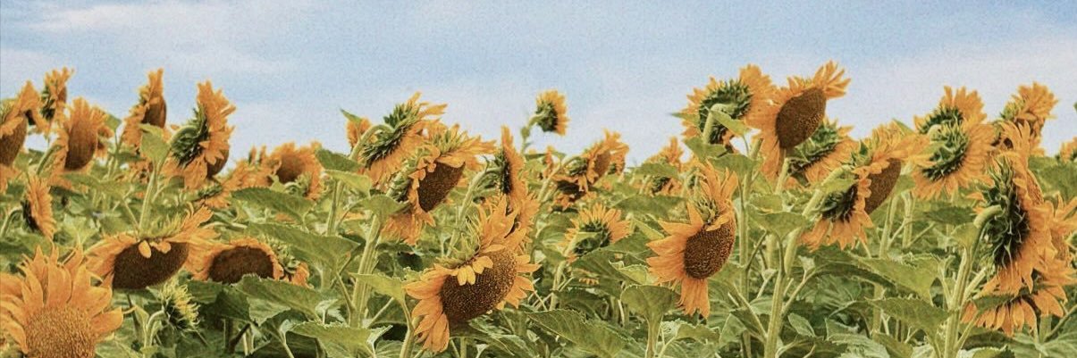 Manuela Rosas banner