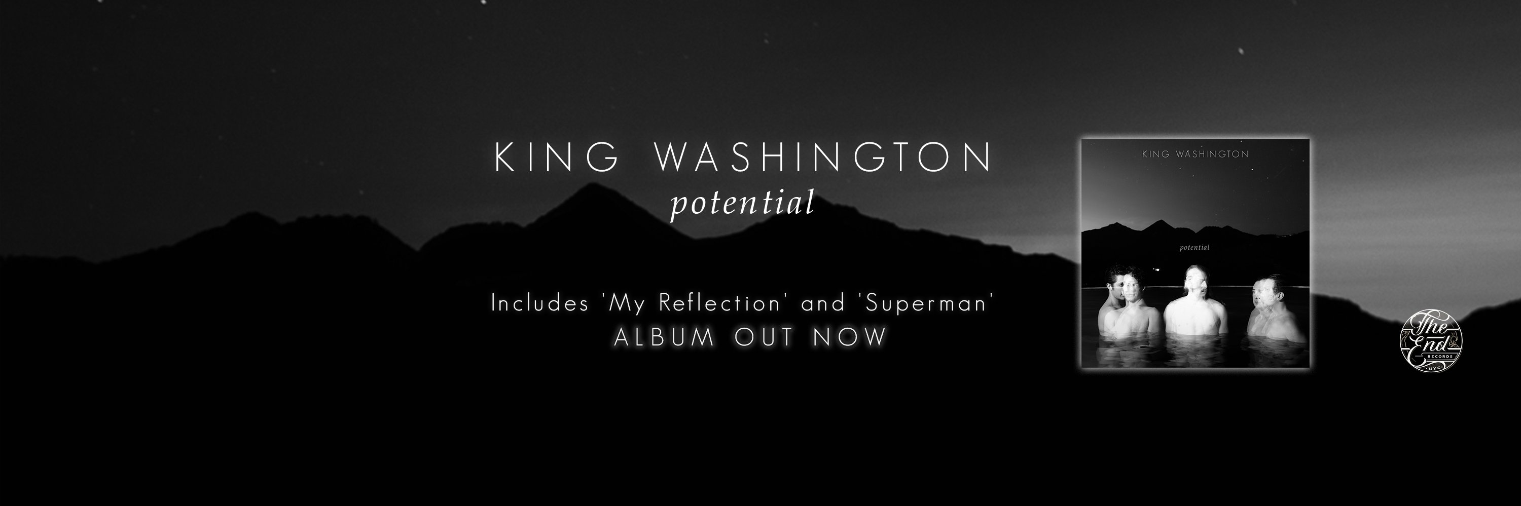 King Washington banner