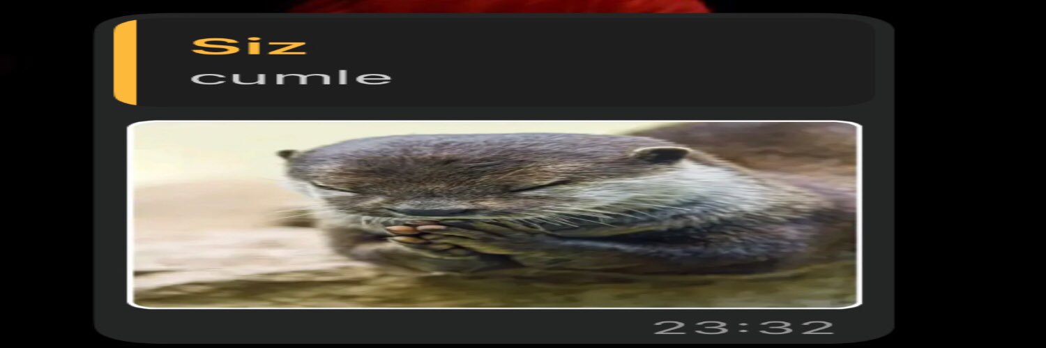 pala banner