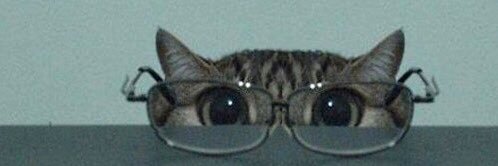 alternative distribution banner