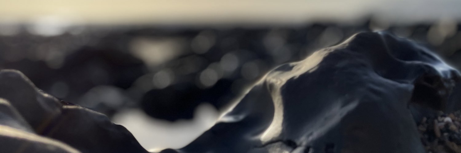 Michael Sherwood banner